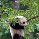 ���� ��������, ������������ - ��������� 9 ������� 2018 � ������ ���� ����������