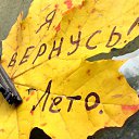 ���� �����, ������, 41 ��� - ��������� 31 ������� 2018 � ������ ������ ��������