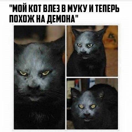    - 30  2018  17:08