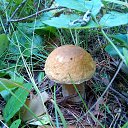 ���� �������, ������������ - ��������� 28 ������ 2018 � ������ �������