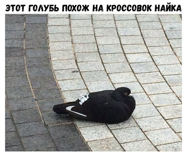    :D - 21  2018  16:40