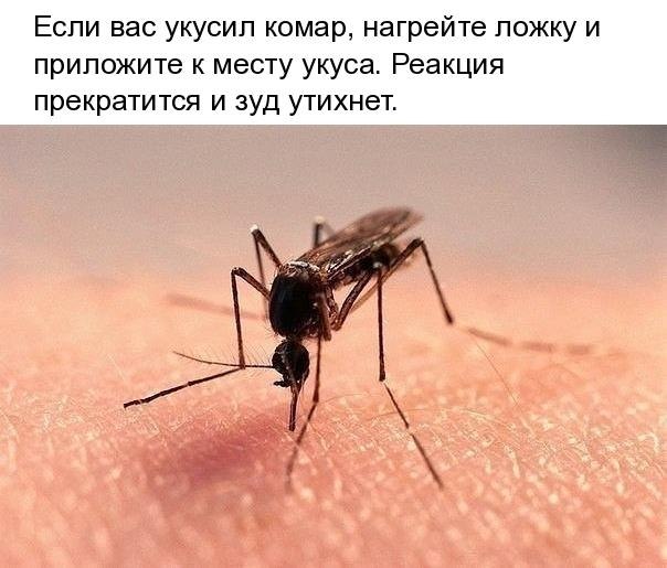  - 18  2018  16:57