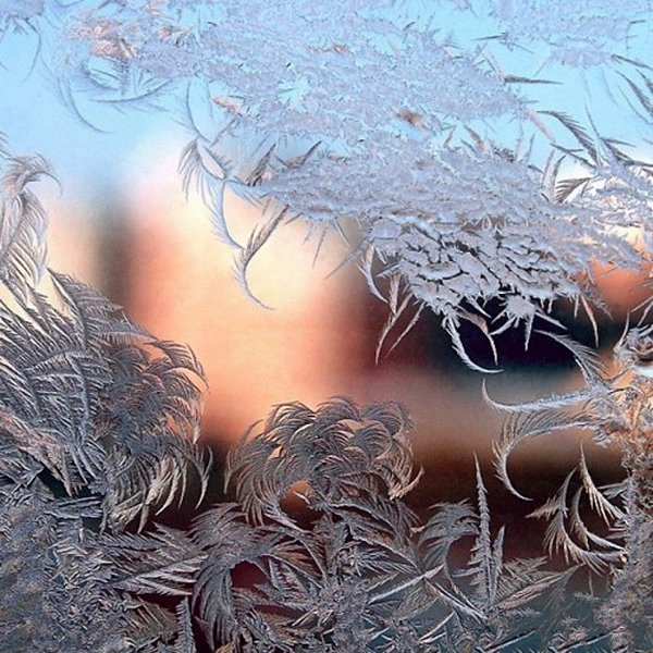 Хрустит морозами январь, Стучится в дверь замёрзшей птицей. И с грустью скажет календарь, Что ...