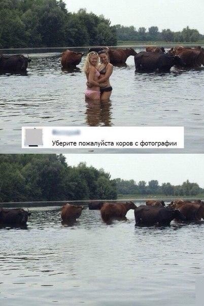   - 5  2019  13:56
