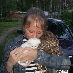 ����, �����-���������, 36 ���