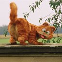 ���� �������, �����, 40 ��� - ��������� 21 ������ 2019 � ������ ���� ����������