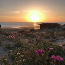  ,  -  17  2018      .