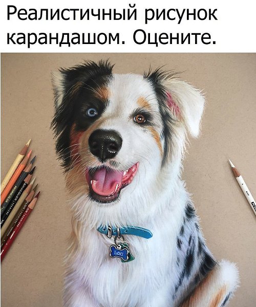   - 24  2018  17:09