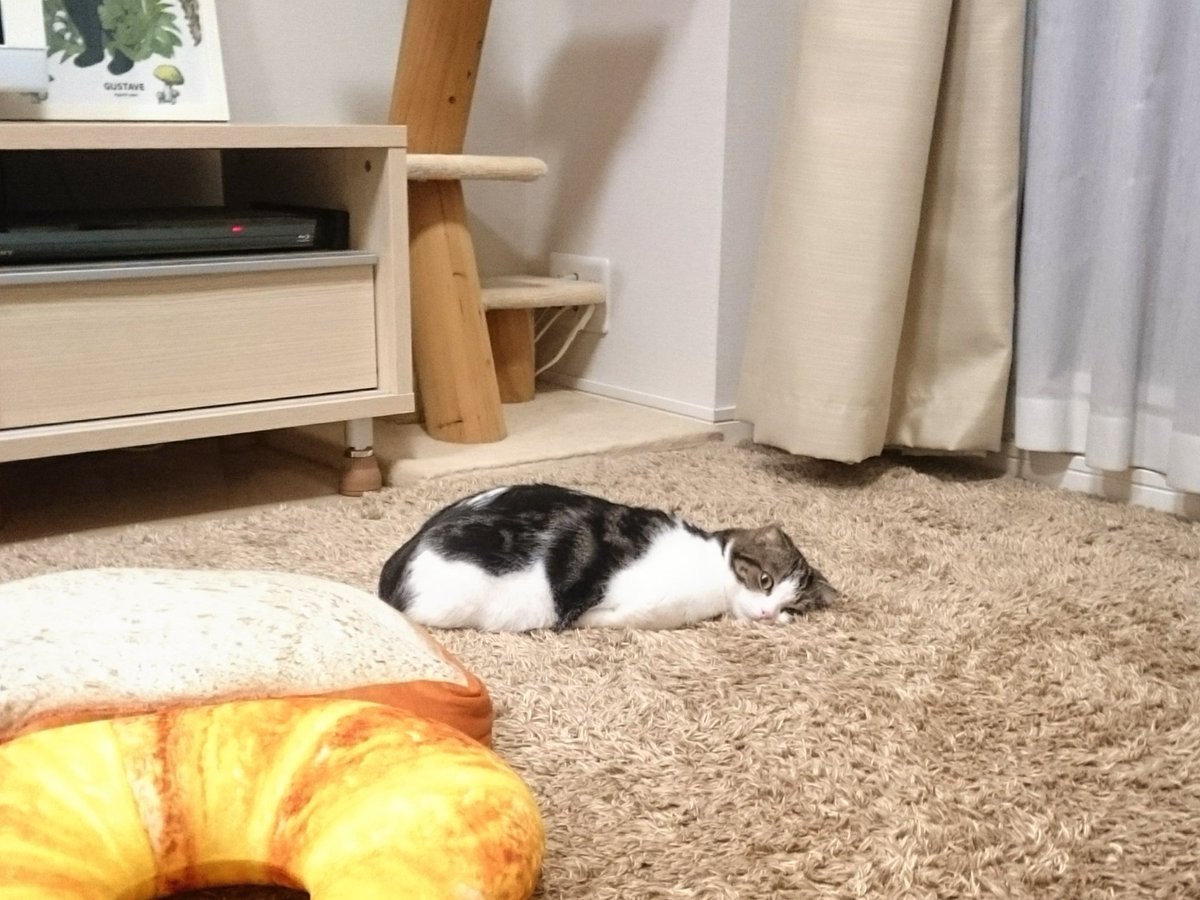 :       