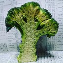 ���� �������, ����� - ��������� 16 �������� 2018 � ������ ������ ��������