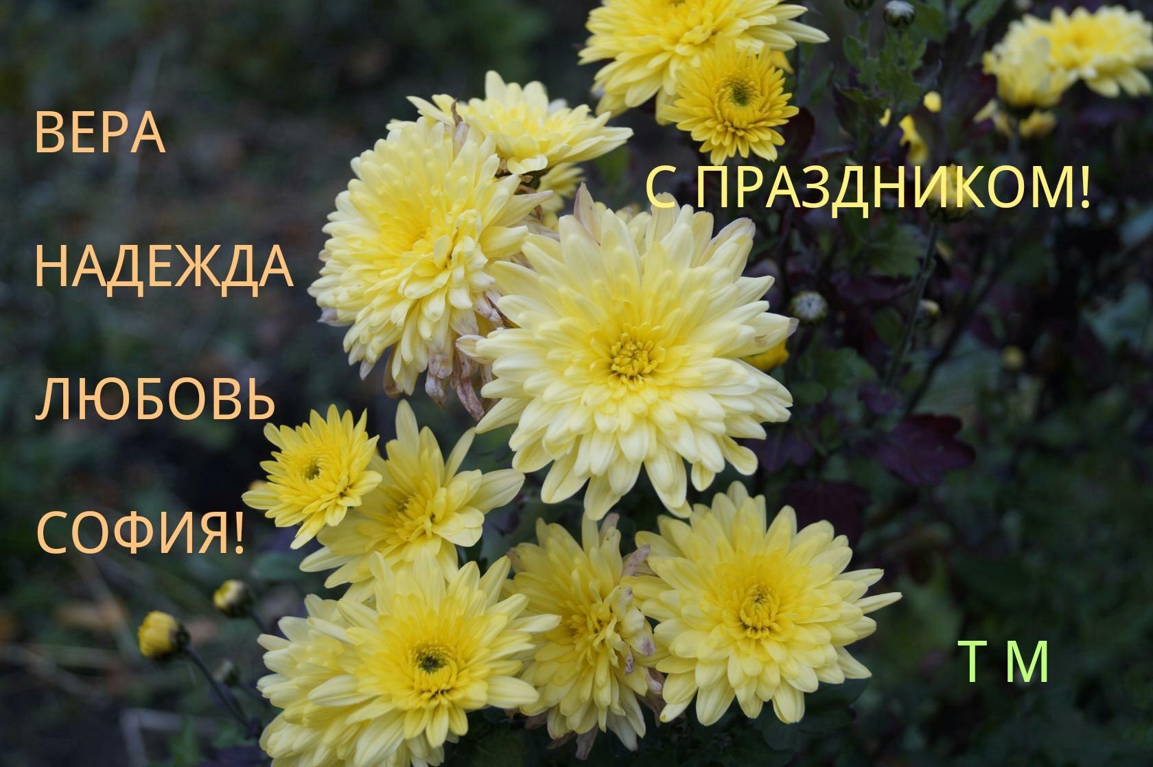 https://fotostrana.ru/away?to=/sl/kUU3