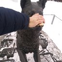 ���� ���������, ������, 50 ��� - ��������� 3 ������� 2019 � ������ ���� ����������