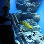 ������, 43 ����, ������