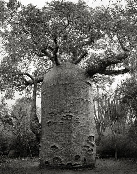    -   (Beth Moon)   ,  ... - 6