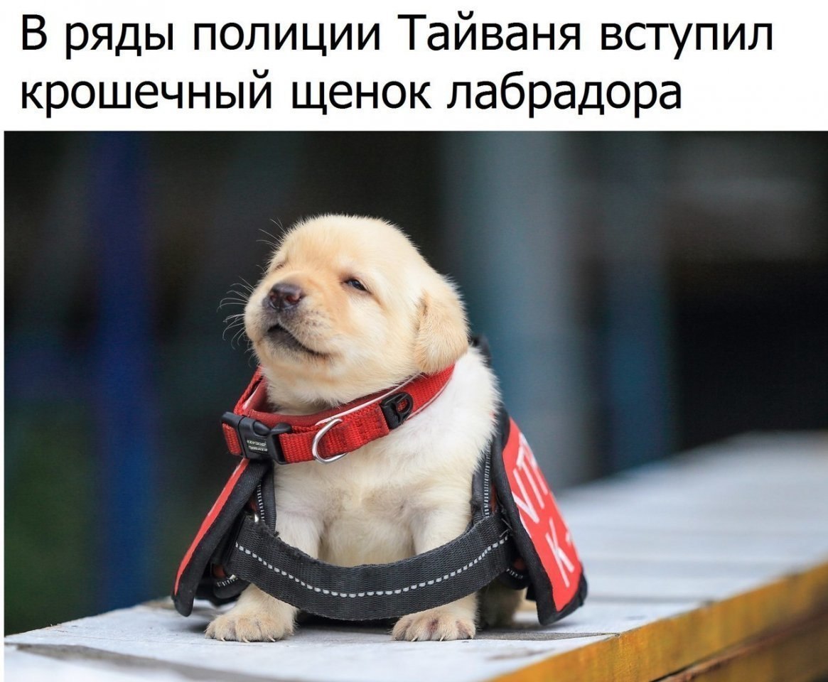  - 23  2018  16:21