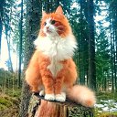 ���� ������, ��������, 40 ��� - ��������� 28 �������� 2018 � ������ ���� ����������