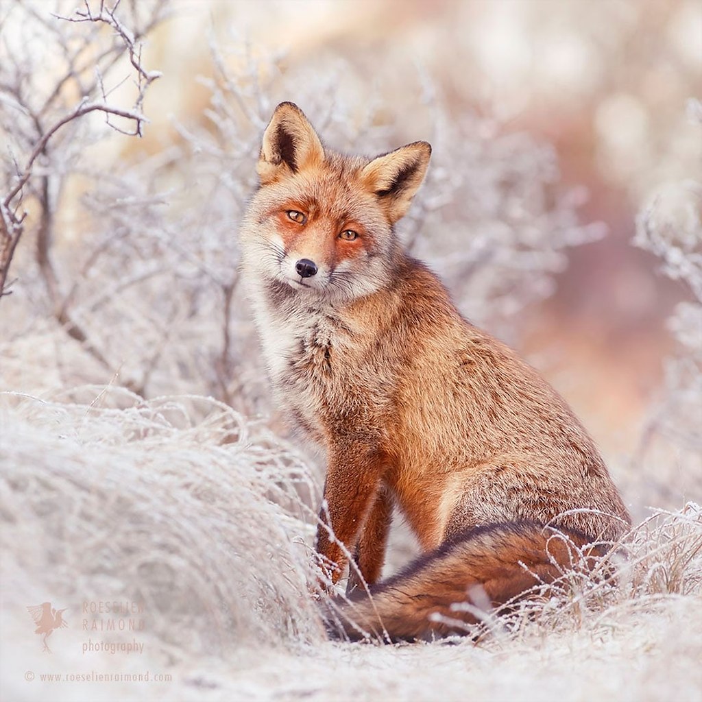 #@https://fotostrana.ru/away?to=/sl/NWB4 Emma Taggart - 8