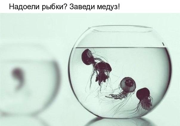   - 24  2018  17:10