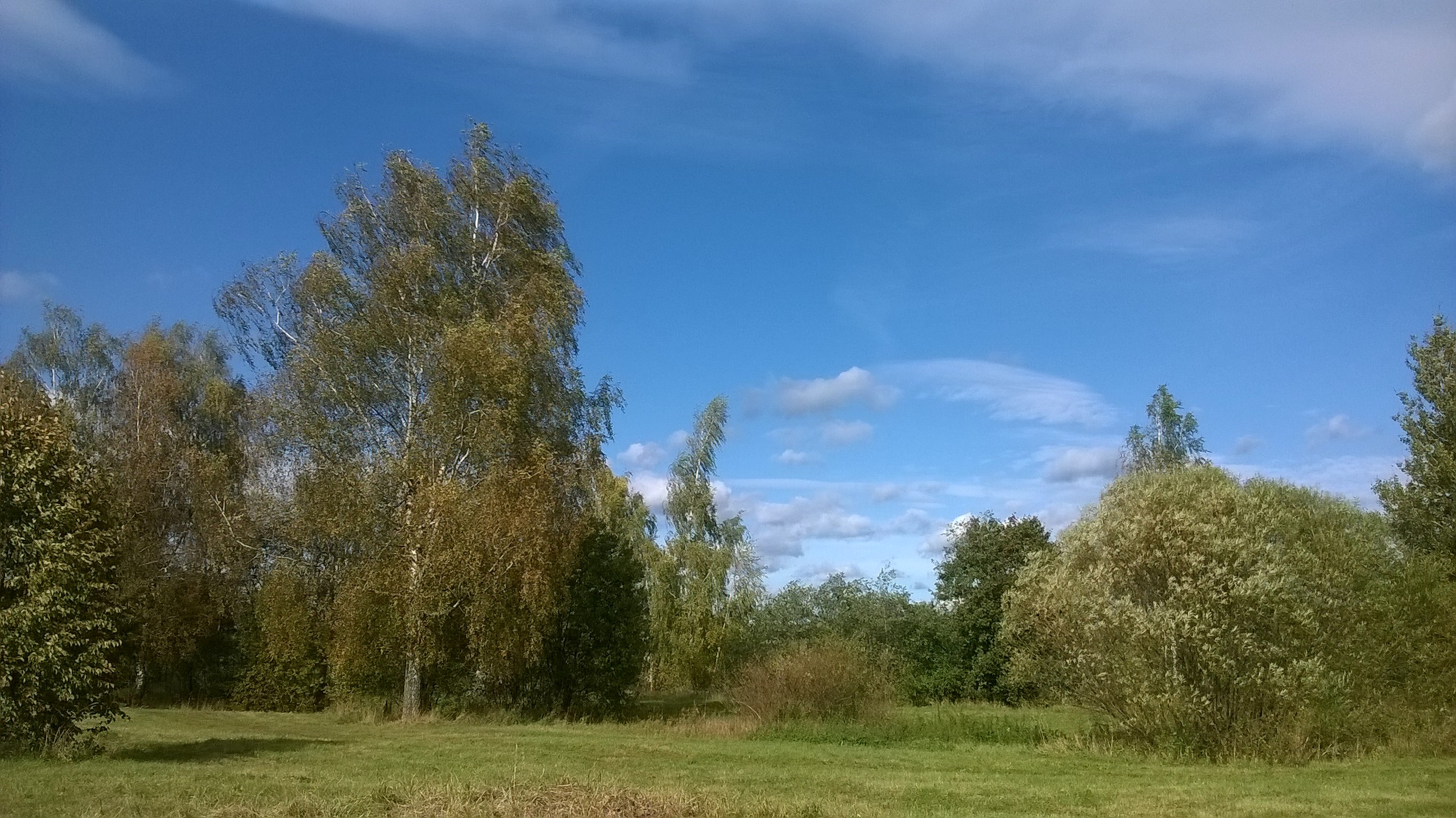    .... 30.09.2018 - 2