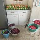  Flora, , 57  -  27  2018    