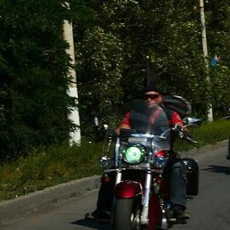 ����, �������, 49 ���