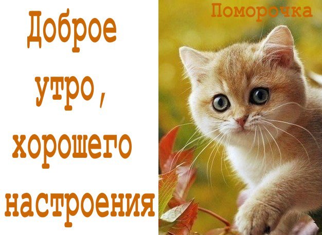    ,  !!!     ,     ,    ...