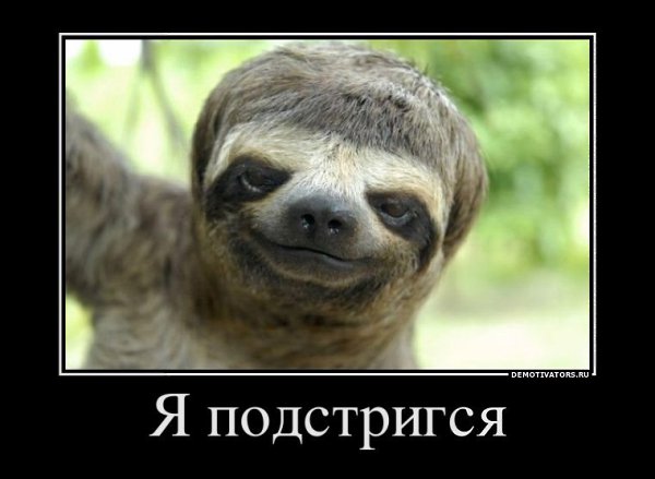 ***Victoria Viktorovna*** - 22  2019  09:04