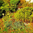  U-jin, , 53  -  24  2018    -