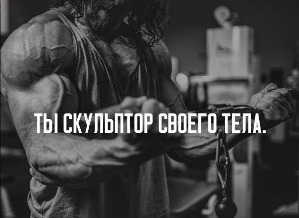 SportFeed - 22  2019  16:38