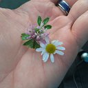 ���� ����, ������, 41 ��� - ��������� 23 ������ 2019 � ������ ���� ����������