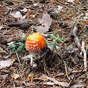  , , 61  -  22  2018    2018