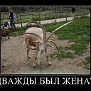 ���� ������, ���� - ��������� 21 ������ 2018 � ������ ������ ��������