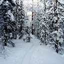 �� �����, ����� ������� �� ������� ���� ����������