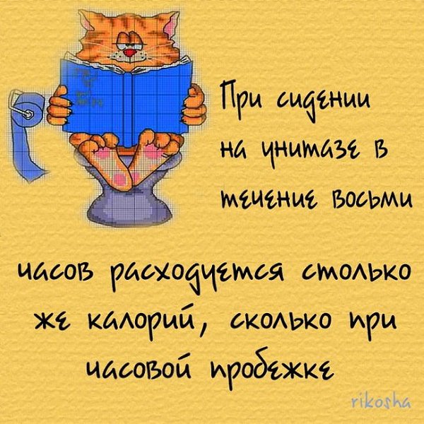  - 6  2019  16:58