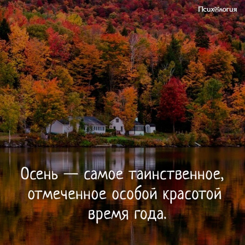 Особая красота. Люблю осень. Осень самое таинственное отмеченное особой красотой время года. Осень любимая пора. Обожаю осень.