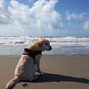 ���� Natali, ��������� - ��������� 23 ����� 2019 � ������ �Nuvole Cumuli e Mare...�