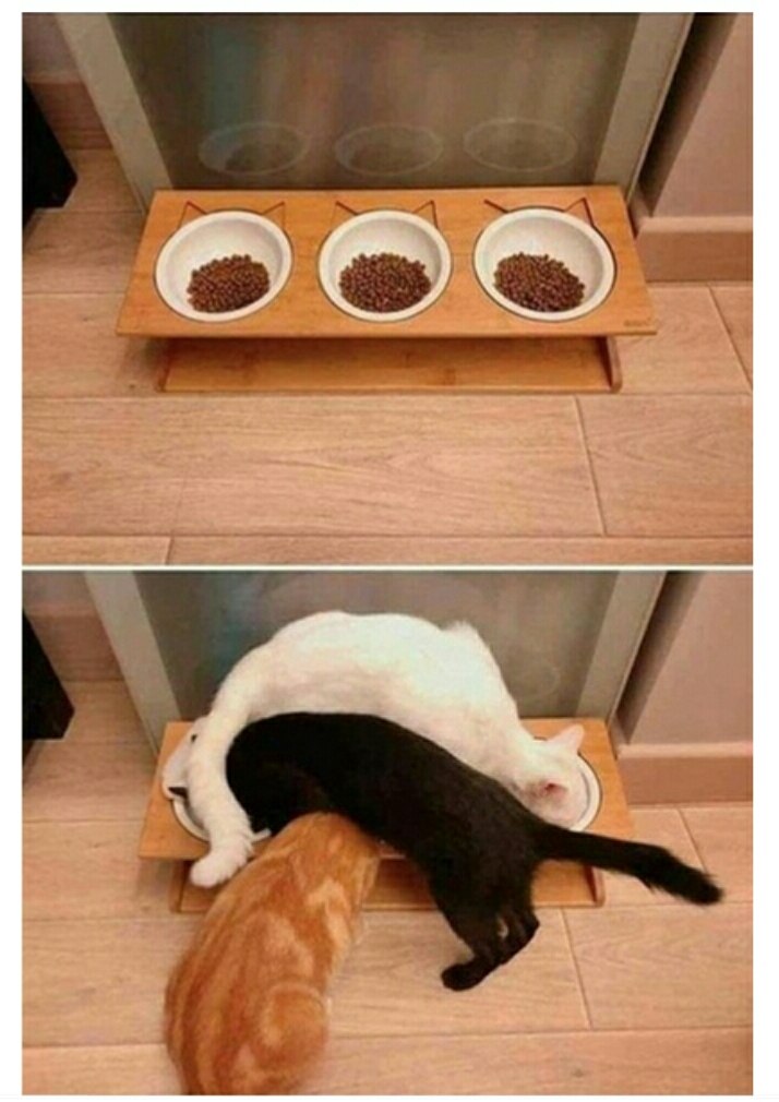 ,      ,   ...