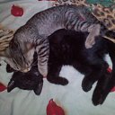 ���� ������, ����, 36 ��� - ��������� 19 ������ 2019 � ������ ���� ����������