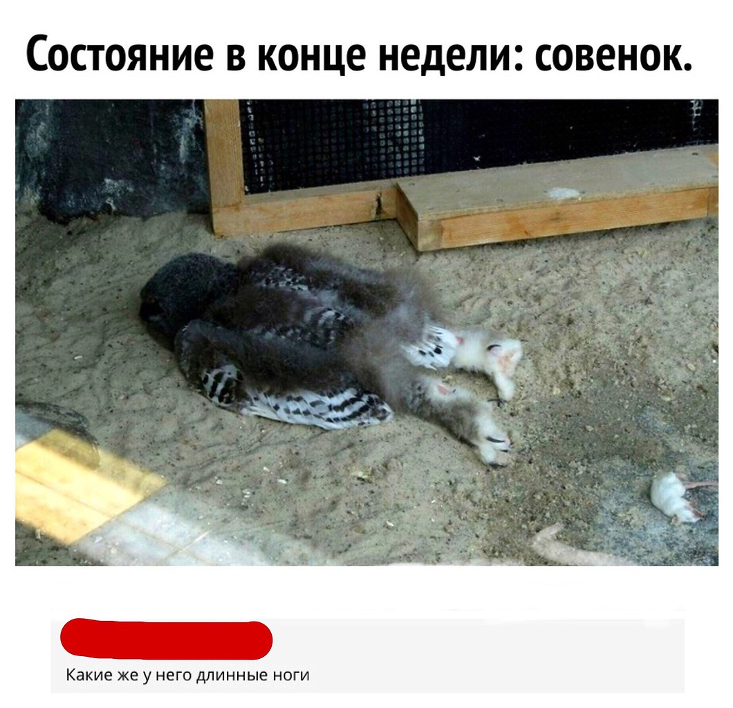  - 28  2018  16:50