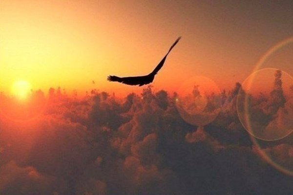 Бывает, ты хочешь сказать что-то важное, и думаешь — подожду. А потом ты понимаешь, что, наверное, ...