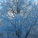 ���� ��������, ������� - ��������� 3 ������� 2018 � ������ ���� ����������