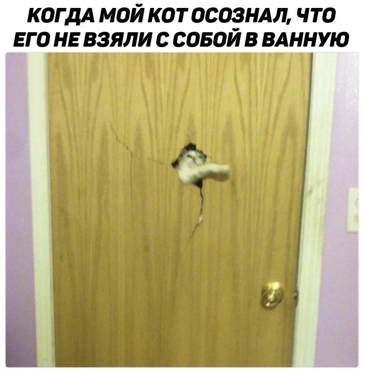 ☆ ☆ - 6  2018  16:31