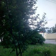 , 26 , 