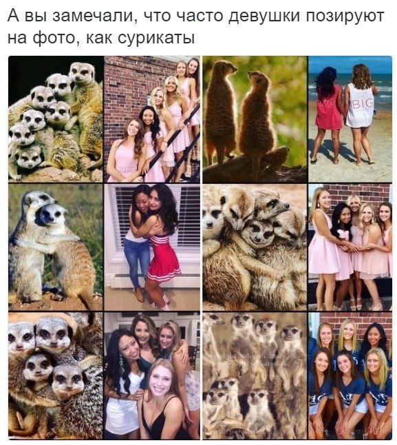   - 6  2018  16:43