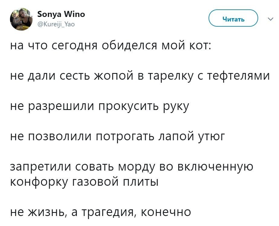   - 6  2019  16:52