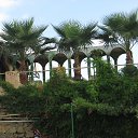 ���� ������� ������, ������ �����, 72 ���� - ��������� 16 ������ 2019 � ������ �2018 ���������