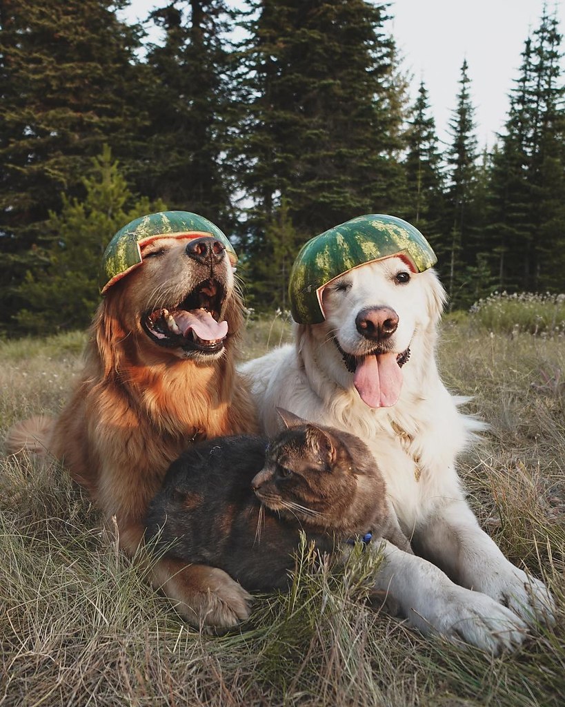 -.: https://fotostrana.ru/away?to=/sl/qcG ()#@ican - 2