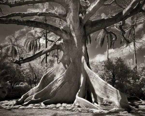    -   (Beth Moon)   ,  ... - 7