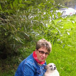 ������, ������, 52 ����