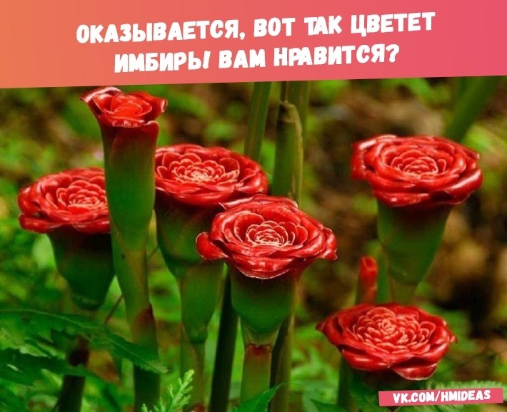    - 10  2018  16:37